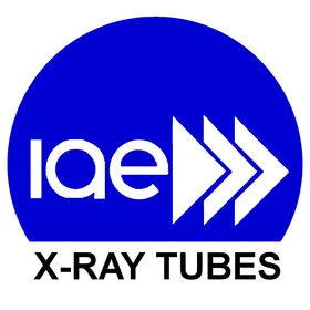 IAE Logo